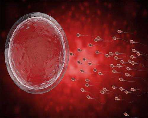 代生孩子套餐,西宁试管取了三个卵泡做一代成功几率高吗-试管助孕生子助孕机