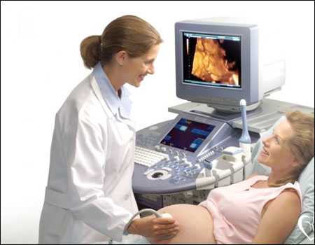 成都神州中泰医疗集团|澳门供卵试管怎么样（澳门供卵合法吗）