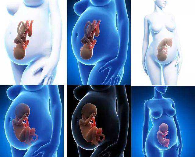 代怀中心费用,吕梁试管婴儿助孕费用价格表，2026各区助孕总花费排名预估