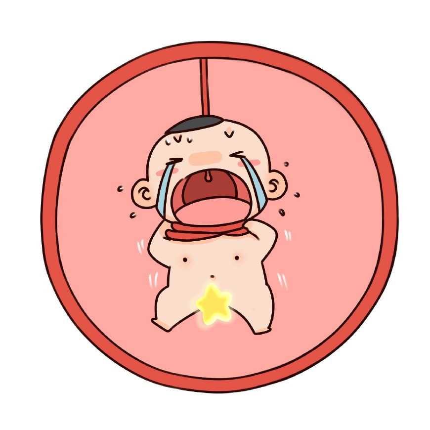 东骏国际试管生殖中心|海南供卵试管医院排名