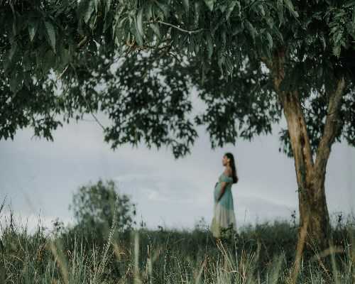 供卵助孕费用,北京人工助孕多少钱_正规试管中介