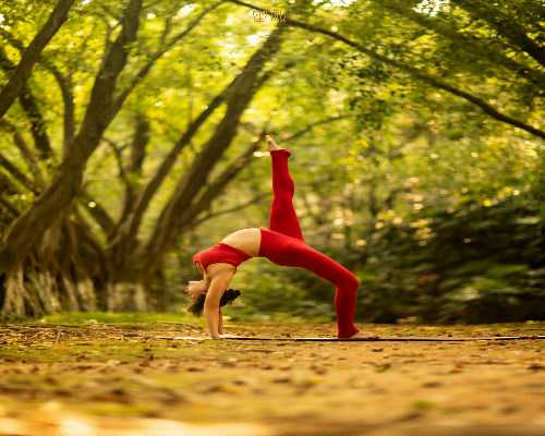 助孕公司代孕妈妈,吉安妇保医院能做助孕试管婴儿吗？